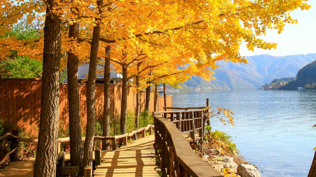 4D3N SPOTLIGHT KOREA NAMI ISLAND MT. SORAK