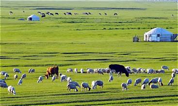13D12N SPECIAL CHINA INNER MONGOLIA - GRASSLAND - HARBIN - FUZHOU