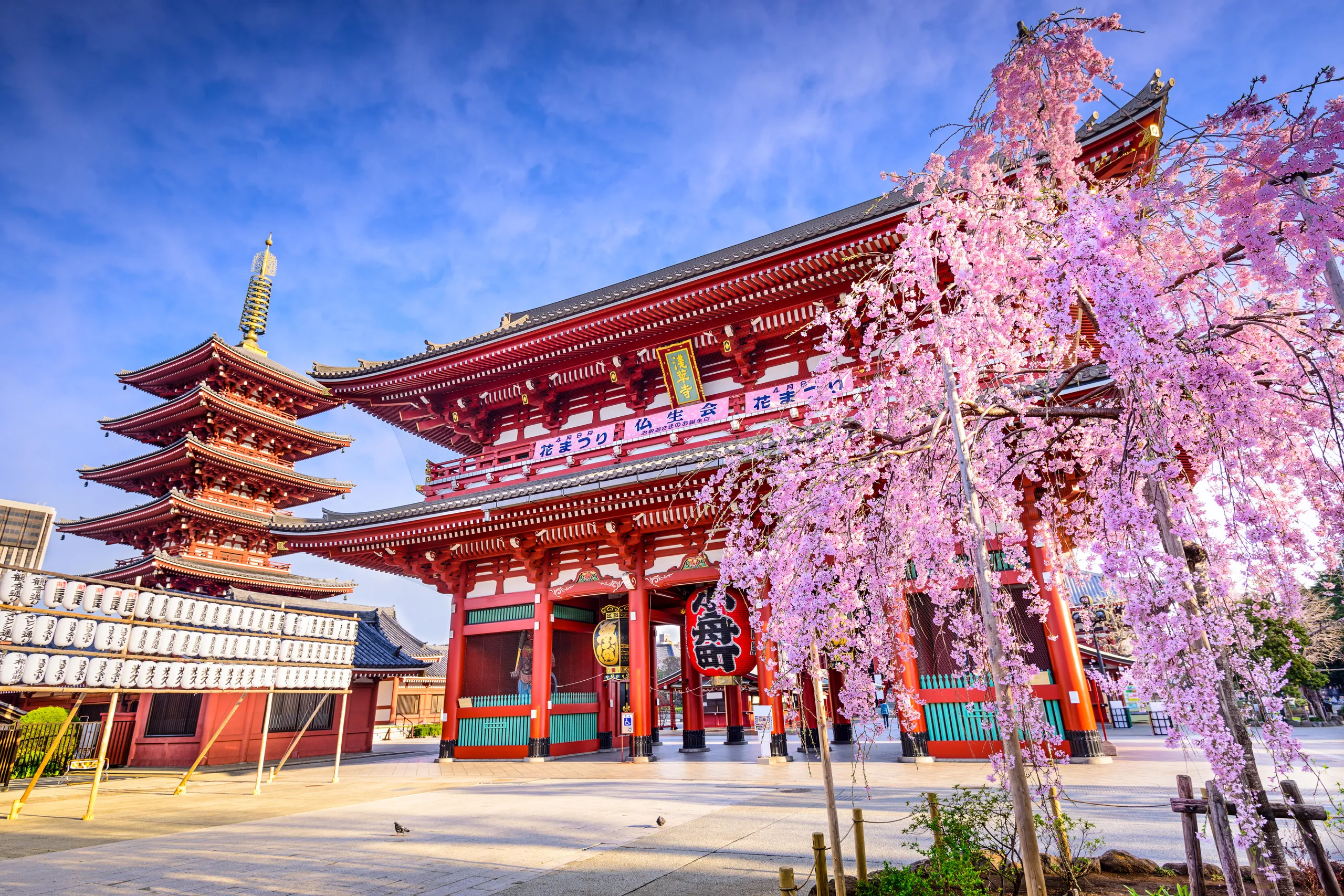 5D4N JAPAN GOLDEN ROUTE